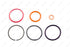 HEUI Injector Seal Kit AP0001 F8TZ9229AA 1833564C92